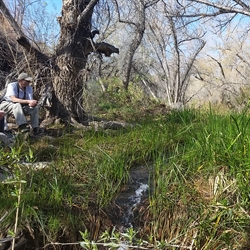 4_-_Leave_it_as_you_find_it_-_Hiker_sitting_next_to_stream_MCW_-_gerber